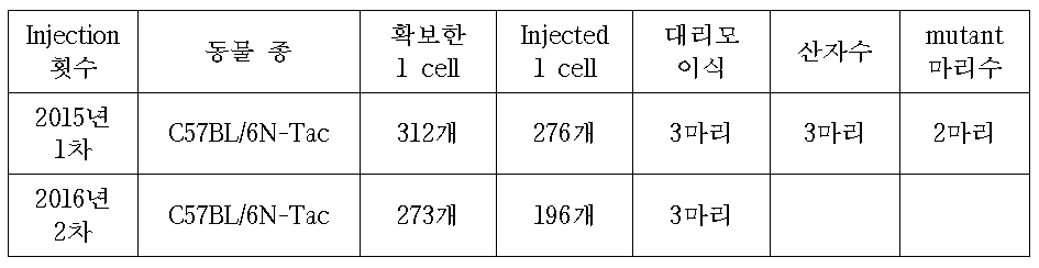 C57BL/6N tarconic mice를 이용한 Krt32 CRISPR Cas9 Injection