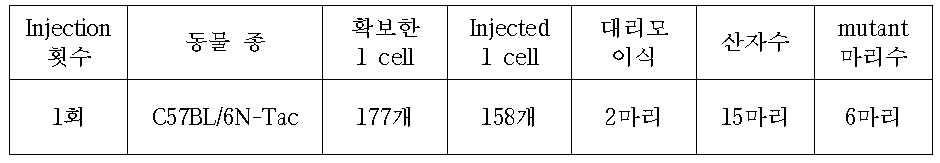 C57BL/6N tarconic mice를 이용한 Krt35 CRISPR Ca9 Injection