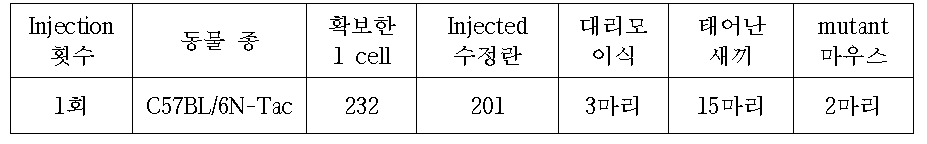 Mouse Lingo2 Injection 내용
