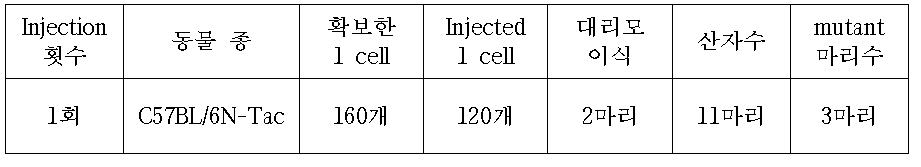 C57BL/6N-Tac mouse를 이용한 Scl25a1 RGENs Injection