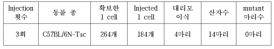 C57BL/6N-Tac mouse를 이용한 Slc39a8 RGENs Injection