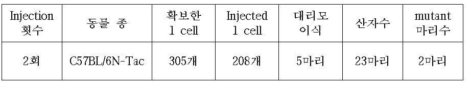 C57BL/6N-Tac mouse를 이용한 Tm4sf5 RGENs Injection