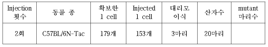 C57BL/6N taconic mice를 이용한 Zfp39 CRISPR Ca9 Injection