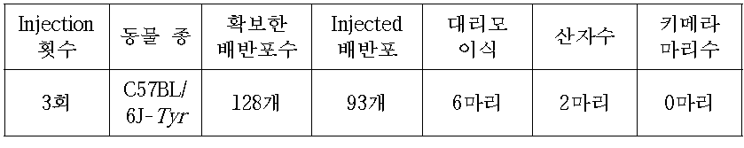 C57BL/6J-Tyr mouse를 이용한 Aimp2-B04 cell Injection