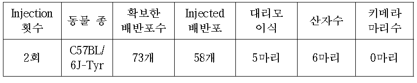 C57BL/6J-Tyr mouse를 이용한 Cited2-B07 cell Injection