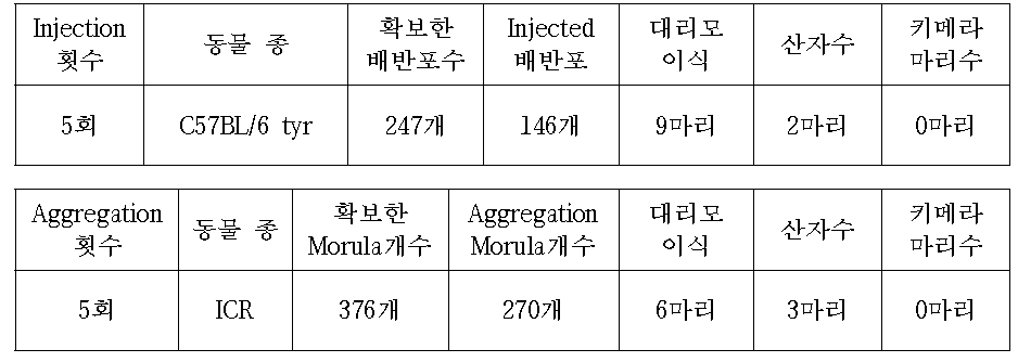 C57BL/6 tyr mice를 이용한 E2f3 cell Injection or Aggregation