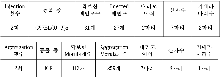 C57BL/6J-Tyr mouse를 이용한 Lpp cell Injection or Aggregation