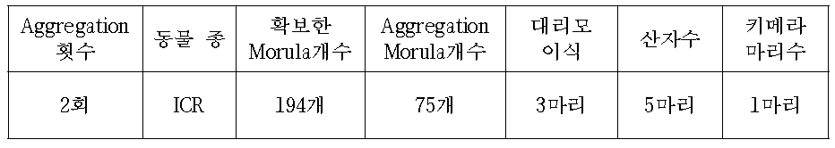 C57BL/6J-Tyr mice를 이용한 10-6 cell Aggregation