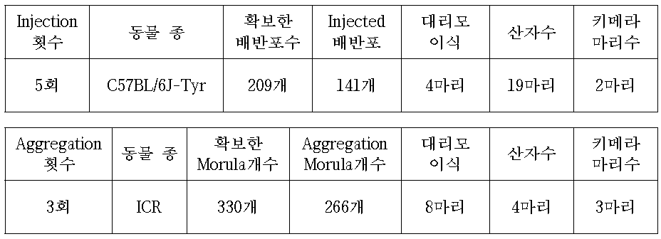 C57BL/6J-Tyr mouse를 이용한 Nfkbie-A01 cell Injection of Aggregation
