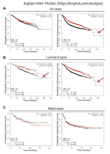Mel-18 소실과 유방암 환자의 생존곡선