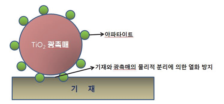 아파타이트 피복에 의한 광촉매의 열화 방지 효과 모식도