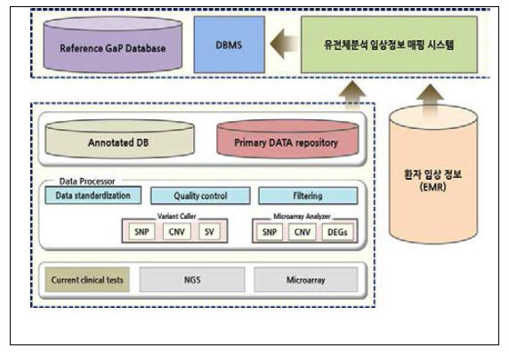 Reference GaP 데이터베이스