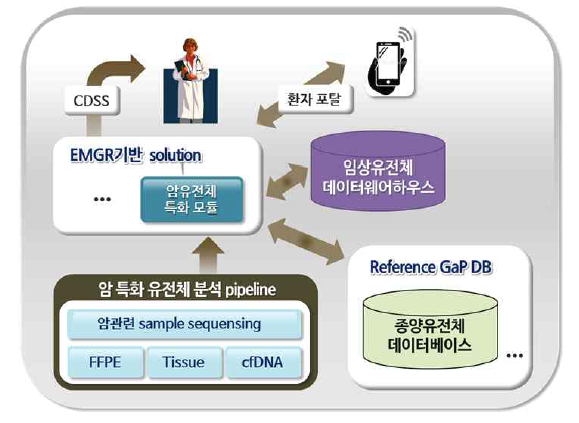 암 중심 유전체 정보 기반 개인 맞춤형 치료 솔루션 개발 체계도