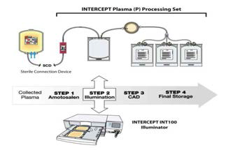 Intercept 모식도