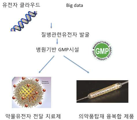 약물유전자전달 치료제 및 첨단 융복합 제품 개발 컨셉트