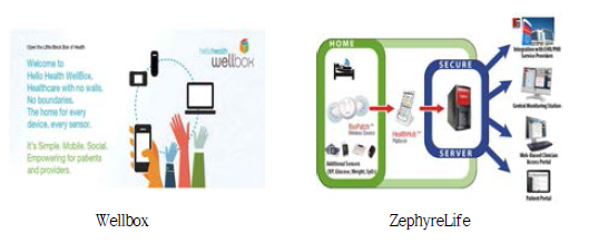 해외 의료데이터 관련 서비스 플랫폼: Wellbox, ZephyLife