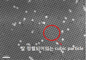 합성된 금 nanocube의 SEM image