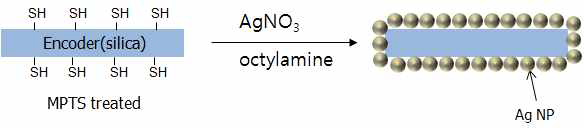 질산은 전구체를 이용하여 다차원 다중 표지자 표면에 은 나노입자를 도입하는 과정의 개략도