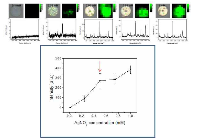 제작된 라만 활성 표지자의 광학현미경, 라만 스텍트럼 사진 (위). 각 표지자의 은 나노입자 도입 조건에 따른 라만세기 (아래)