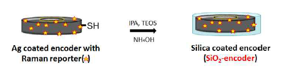 은 나노입자와 라만 표지 화합물이 도입된 다차원 다중 표지자에 실리카를 도입하는 과정의 개략도