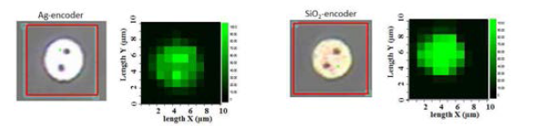 실리카 코팅 전(왼쪽)과 후(오른쪽)의 다차원 다중 표지자의 광학현미경, 라만 신호 맵핑 사진