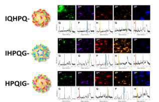 3가지 서로 다른 Pentapeptide의 서로 다른 5가지의 2차원 라만 표지 나노표지자의 표지 코드