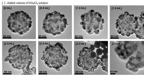 넣어준 금 전구체 양에 따른 속이 빈 나노구조체가 코팅된 실리카 나노 입자의 TEM 사진