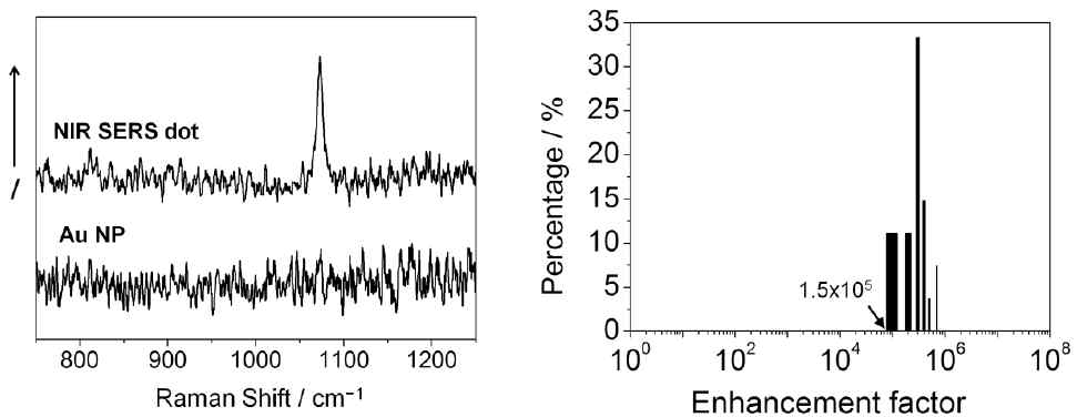 프로브 단일 입자와 금나노 단일 입자의 라만 신호 세기(좌)와 프로브 단일 입자의 enhancement factor 분포도(우)