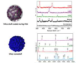 NIR SERS 프로브와 다중 표지 신호 스펙트럼 (위) Au/Ag hollow shell assembly, (아래) Ag nanoshell