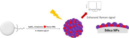 라만 화합물을 함유한 Ag nanogap bumpy shell (Ag NBS) 합성의 개략도