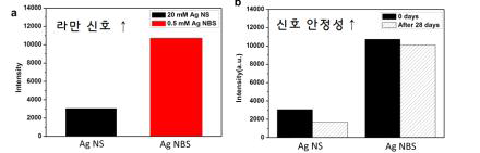 Ag NS와 Ag NBS의 라만 신호(왼쪽)와 신호 안정성(오른쪽) 비교