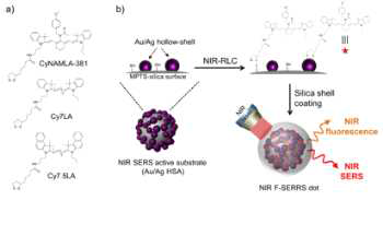 (a) 3종 NIR dye 구조와 (b) NIR SERS 프로브 도입
