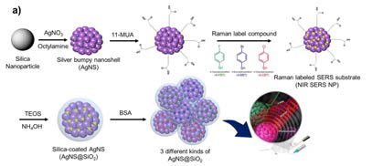 실리카 껍질을 도입한 AgNS 합성 방법