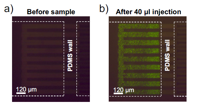 450nm 크기의 형광물질(green)이 코팅된 나노입자를 300nm의 nanoslit membrane에 분리한 결과, 형광 신호가 급격하게 증가함