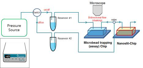 압력 기반의 유체제어를 통해 구성된 마이크로 비드 기반 bio-assay 시스템 모식도