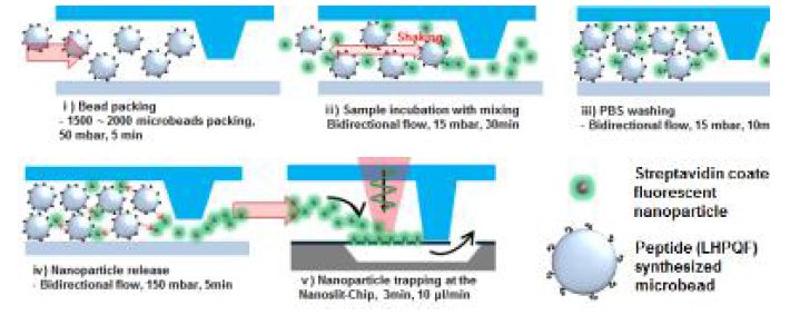 a) 미세 유체 칩 안에서 마이크로 비드 기반의 peptide-streptavidin 반응 실험 과정 모식도. b) 반응 후 유리된 나노 입자를 Nanoslit