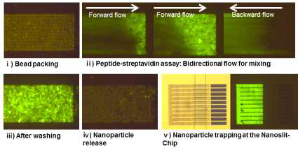 ⅰ)~ⅲ) 마이크로 비드 기반의 peptide-streptavidin 반응 실험과정 ⅳ)~ⅴ) 나노 입자를 유리시킨 후 Nanoslit-chip에 주입한 실험결과 이미지