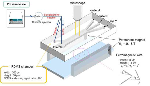 a) 자기 영동(magnetophoresis) 기반 미세 유체 칩을 이용하여 생체 물질 다중 분리 및 검출시스템 모식도