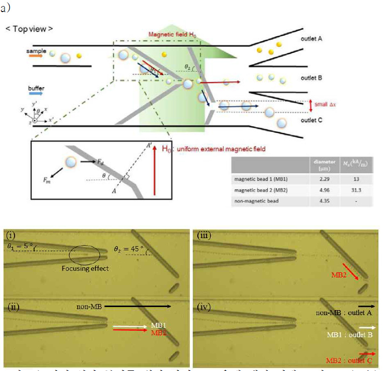 a) 자성 입자 분리를 위한 마이크로 유체 채널 전체 모식도. b) ⅰ)~ ⅳ) 니켈 와이어가 만드는 자기포텐셜을 이용하여, 크기에 따라 분리되는 자성 입자들에 관한 이미지