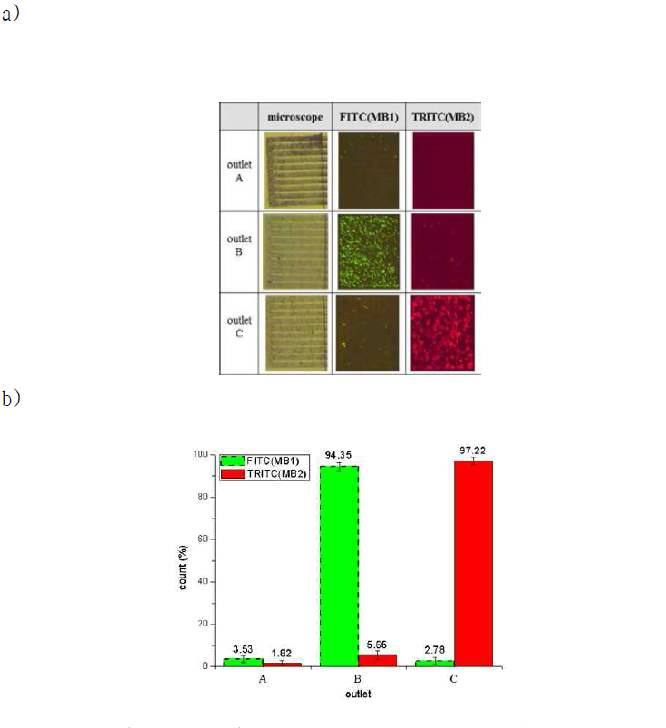 a) 각 출구에서 검출된 형광 표지된 자성 입자들을 Nanoslit-Chip에 주입한 결과. b) 각 출구에서 검출된 자성 입자의 형광 세기 비교