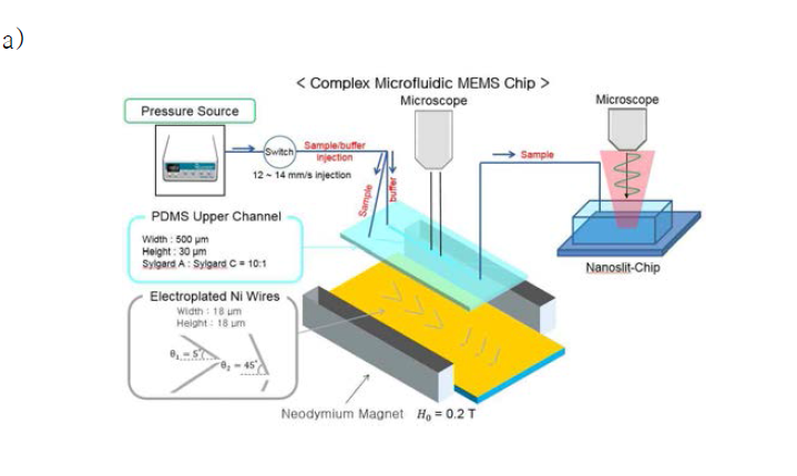 a) 향상된 자기 영동(magnetophoresis) 기반 미세 유체 칩을 이용하여 생체 물질 고감도 다중 분리 및 nanoslit-membrane이 직접된 미세 유체 칩으로 분광학적 검출하는 복합 미세유체 플랫폼을 이용한 고감도 생체 물질 다중 분리 및 검출시스템 모식도