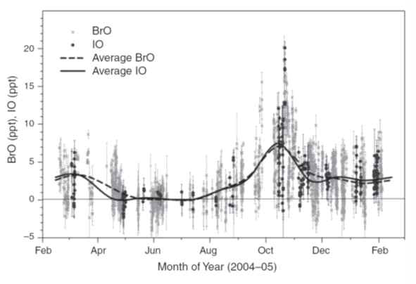 Changes of atmospheric BrO and IO mixing ratio measured at Halley station from January 2004 to January 2005