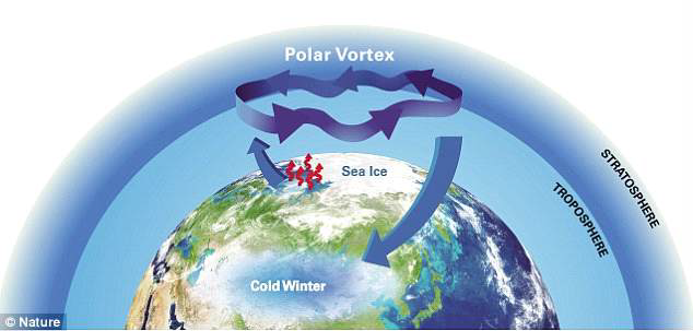 Illustration of the mechanism of the influence of sea ice reduction on weakening of the polar vortex and subsequent cold extreme in mid-latitudes.
