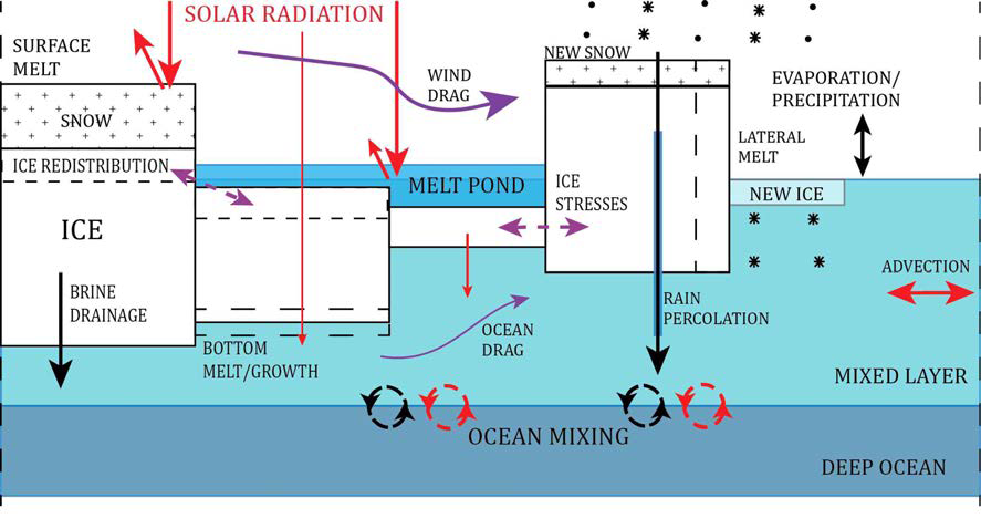 Some of the various physics now included in state-of-the-art sea ice models