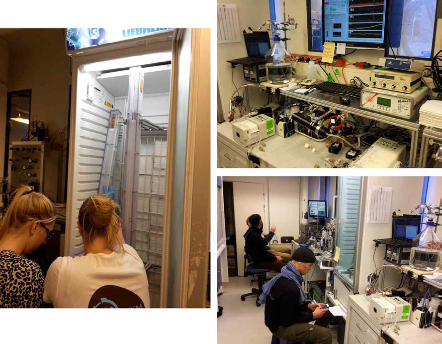 Continuous flow Analysis system connected with melting decontamination system in university of Copenhagen, Denmark