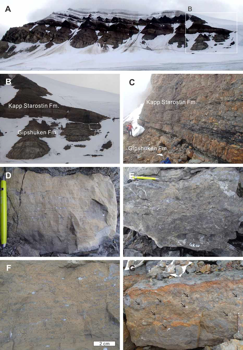 A-B, Overview of the upper Scheteligfjellet section. C, The boundary between Gipshuken and Kapp Starostin formations. D-F, Lithofacies of Gipshuken Formation. D, Laminated dolomudstone with laminar fenestrae. E, Breccia. F, Fenestral dolomudstone. G, Siliceous skeletal limestone which is supposed to be an equivalent of the Vøringen Member, which yield characteristic brachiopods fauna (arrows).