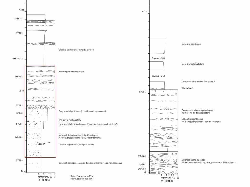 Palaeoaplysina 생물초와 그 주변 퇴적층의 주상도.