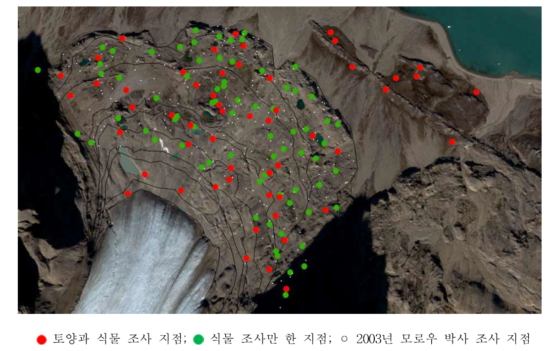 중앙로벤빙하 후퇴지역에서 식물 조사 및 토양 샘플링 지점
