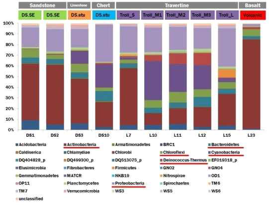 암석 시료별 문(phylum) 수준에서의 박테리아 군집구조
