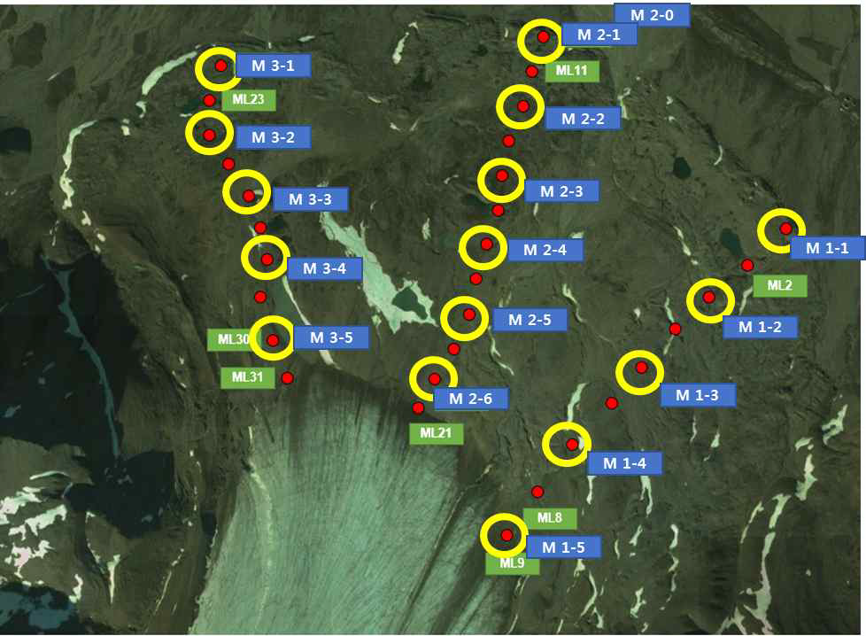 중앙로벤빙하 후퇴 지역의 세 transect의 관측 지점